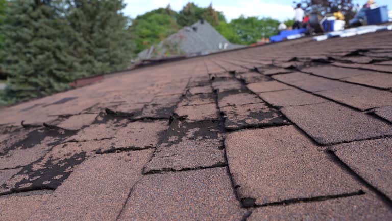 Best Roof Inspection  in Foley, MN