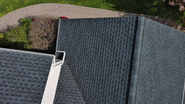 Best Chimney Flashing Repair  in Foley, MN
