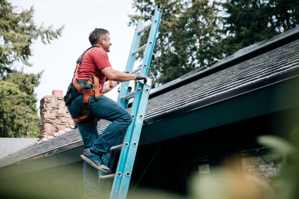 Best Asphalt Shingles Roofing  in Foley, MN