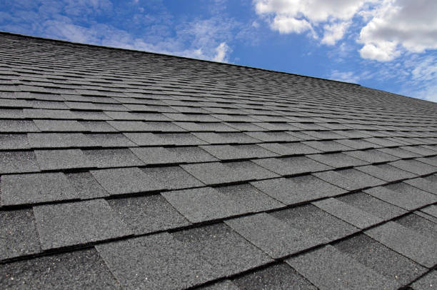 Best Wood Shake Roofing  in Foley, MN