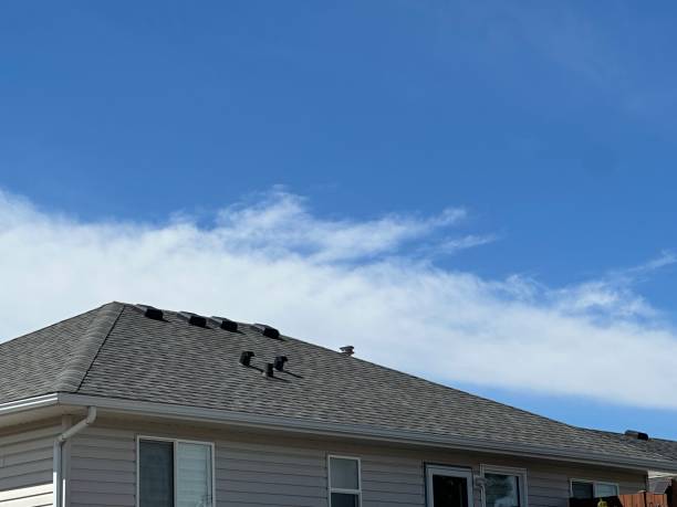 Best Storm Damage Roof Repair  in Foley, MN